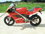     Cagiva Prima50 1996  10